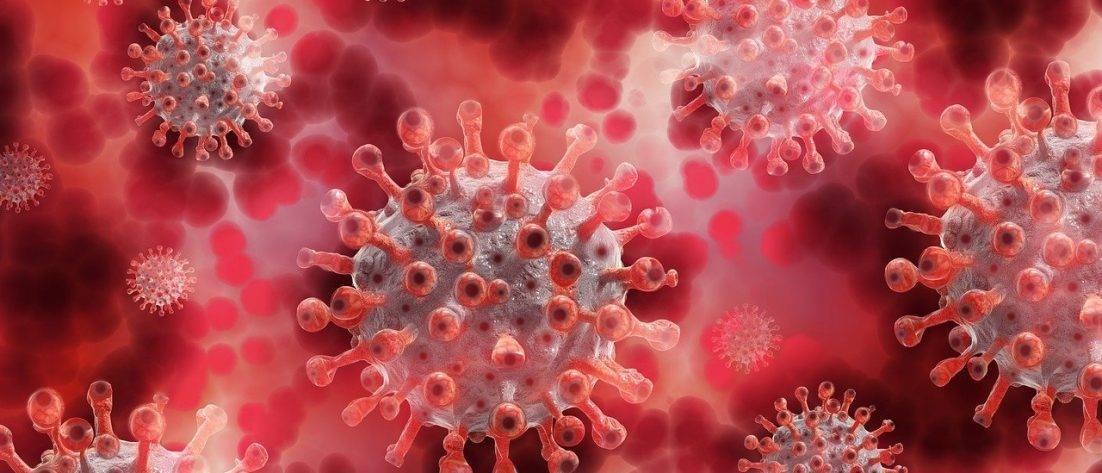 Corona Coronavirus Virus Blood  - geralt / Pixabay