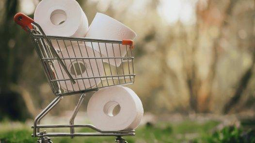 Shopping Toilet Paper Covid   - Alexas_Fotos / Pixabay