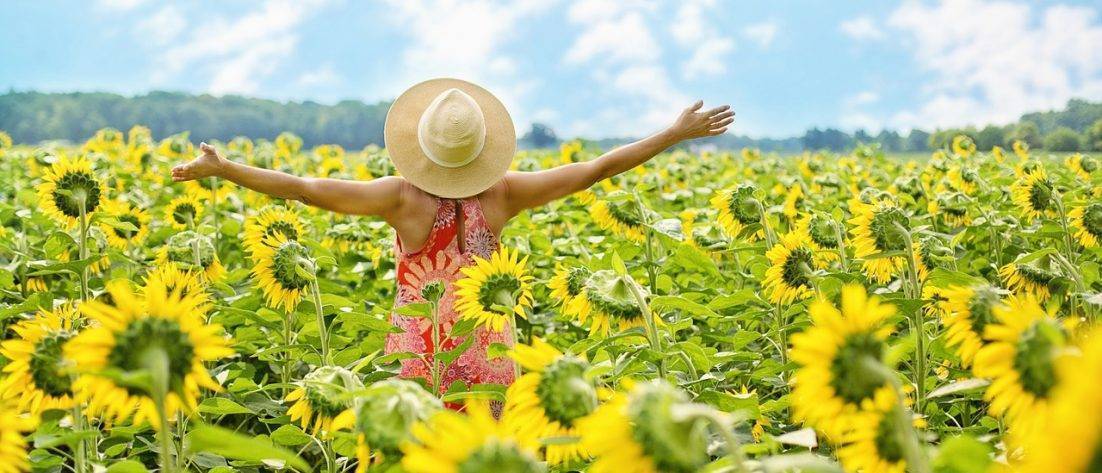 Sunflowers Field Woman Yellow  - JillWellington / Pixabay