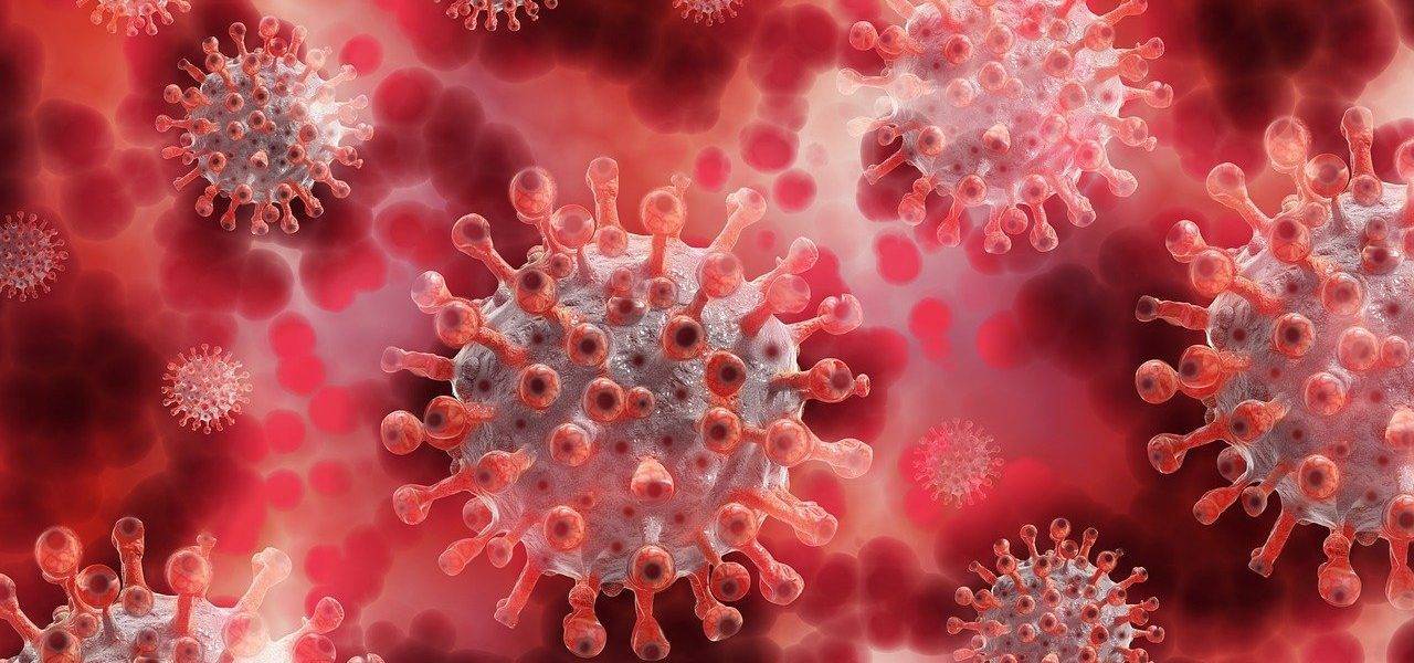 Corona Coronavirus Virus Blood  - geralt / Pixabay
