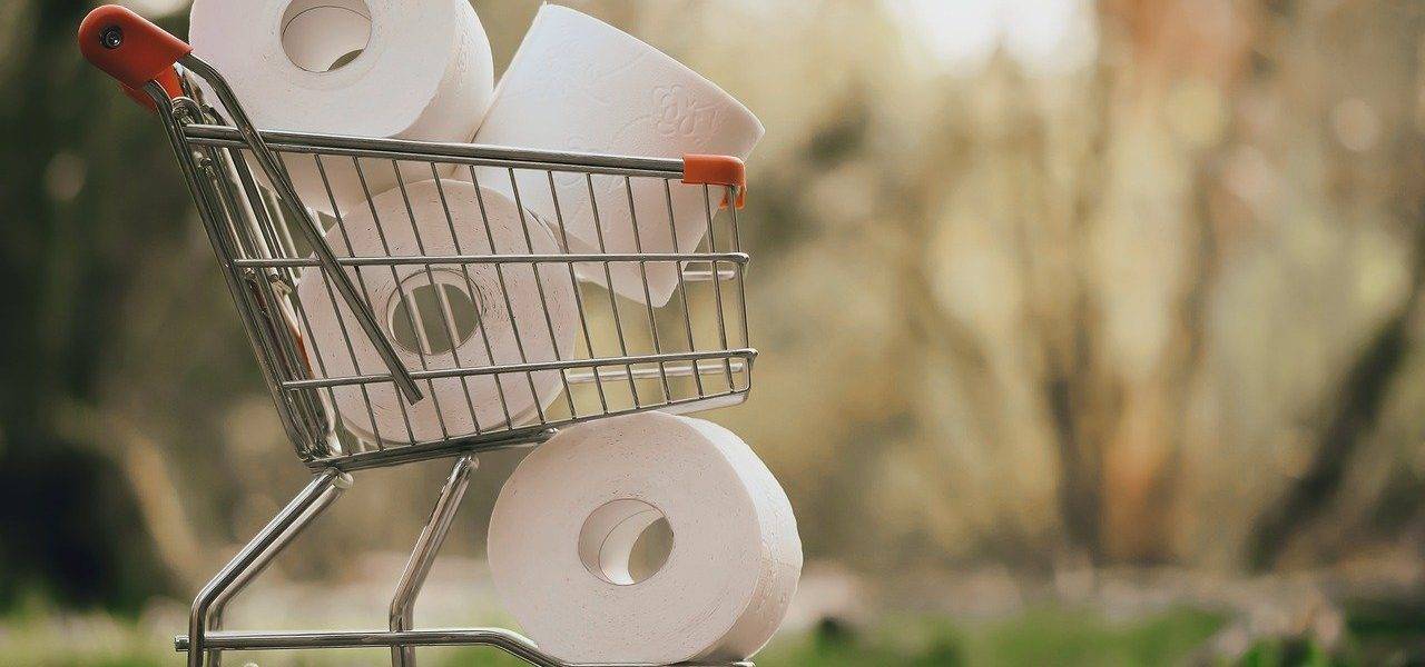Shopping Toilet Paper Covid   - Alexas_Fotos / Pixabay