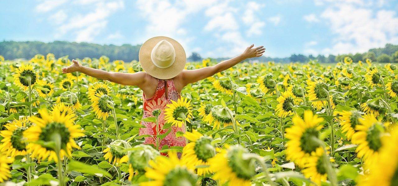 Sunflowers Field Woman Yellow  - JillWellington / Pixabay