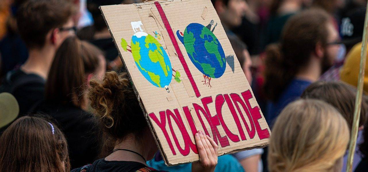 Demonstration Fridays For Future  - dmncwndrlch / Pixabay